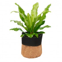 18827 - Cork Planter with plant_1200px